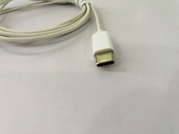 IMG_2338 Earphone Cable Type C White